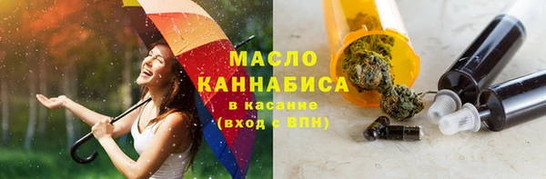 гидра Арсеньев