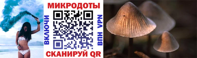Галлюциногенные грибы мухоморы  Нижний Новгород 
