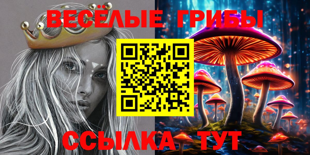 Галлюциногенные грибы Psilocybine cubensis  Вход с VPN  Нижний Новгород  Галлюциногенные грибы прущие грибы 